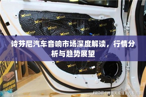 詩(shī)芬尼汽車音響市場(chǎng)深度解讀，行情分析與趨勢(shì)展望