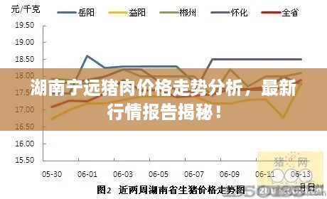 湖南寧遠(yuǎn)豬肉價(jià)格走勢(shì)分析，最新行情報(bào)告揭秘！