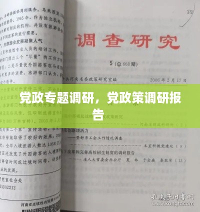 黨政專題調(diào)研，黨政策調(diào)研報告 