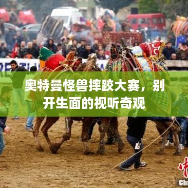 奧特曼怪獸摔跤大賽，別開生面的視聽奇觀