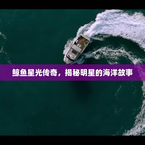 鯨魚星光傳奇，揭秘明星的海洋故事
