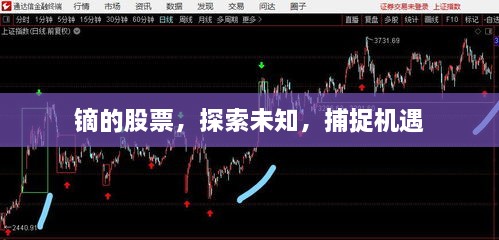 鏑的股票，探索未知，捕捉機遇