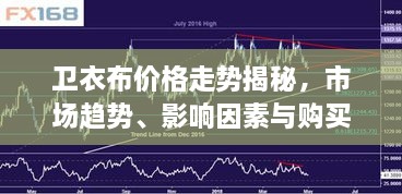 衛(wèi)衣布價格走勢揭秘，市場趨勢、影響因素與購買指南