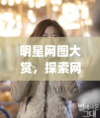 明星網(wǎng)圖大賞，探索網(wǎng)絡(luò)上的閃耀星辰之美