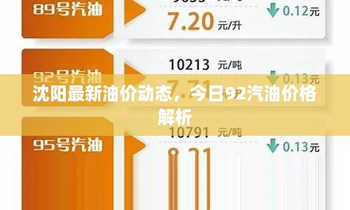 沈陽最新油價動態(tài)，今日92汽油價格解析