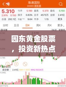 園東黃金股票，投資新熱點，財富新選擇