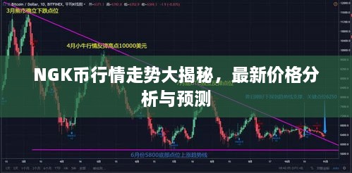 NGK幣行情走勢(shì)大揭秘，最新價(jià)格分析與預(yù)測(cè)