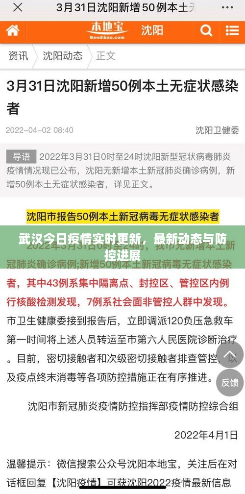 武漢今日疫情實時更新，最新動態(tài)與防控進(jìn)展