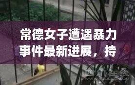 常德女子遭遇暴力事件最新進展，持續(xù)關(guān)注被打女子最新消息