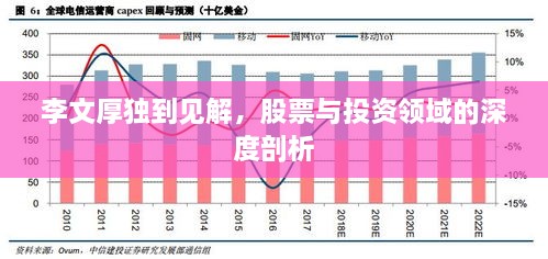 李文厚獨(dú)到見解，股票與投資領(lǐng)域的深度剖析