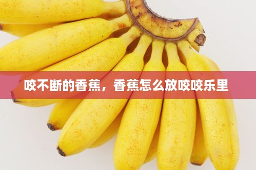咬不斷的香蕉，香蕉怎么放咬咬樂里 