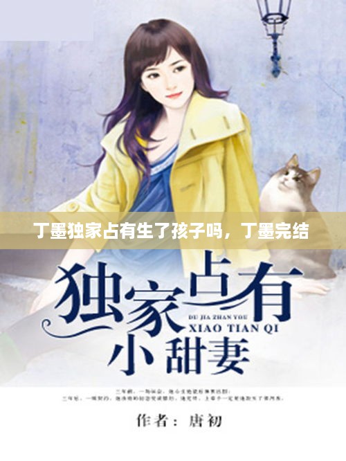 丁墨獨(dú)家占有生了孩子嗎，丁墨完結(jié) 