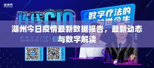 湖州今日疫情最新數(shù)據(jù)報(bào)告，最新動態(tài)與數(shù)字解讀