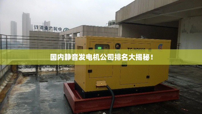 國內(nèi)靜音發(fā)電機(jī)公司排名大揭秘！