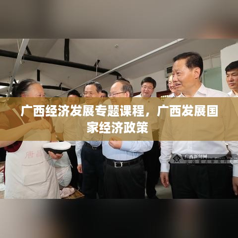 廣西經(jīng)濟(jì)發(fā)展專題課程，廣西發(fā)展國(guó)家經(jīng)濟(jì)政策 