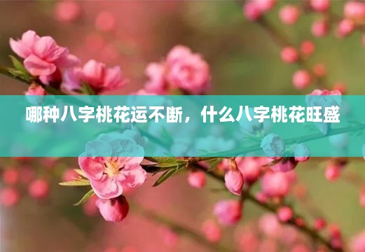 哪種八字桃花運(yùn)不斷，什么八字桃花旺盛 