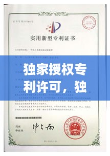 獨家授權專利許可，獨家專利什么意思 