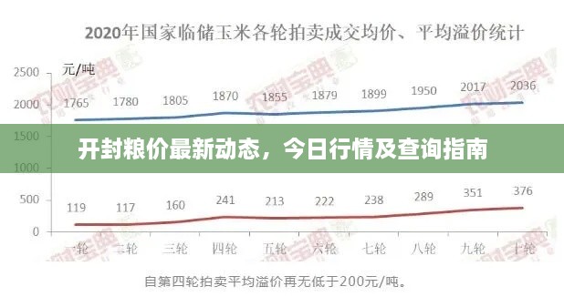 開封糧價最新動態(tài)，今日行情及查詢指南
