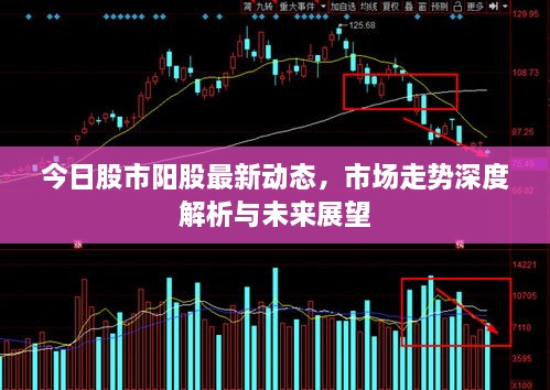 今日股市陽股最新動(dòng)態(tài)，市場(chǎng)走勢(shì)深度解析與未來展望