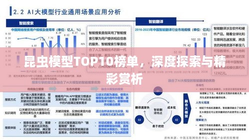 昆蟲模型TOP10榜單，深度探索與精彩賞析