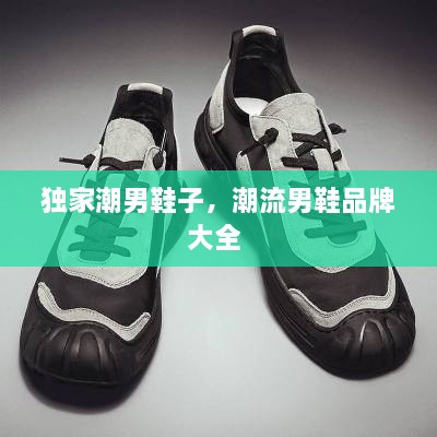 獨家潮男鞋子，潮流男鞋品牌大全 
