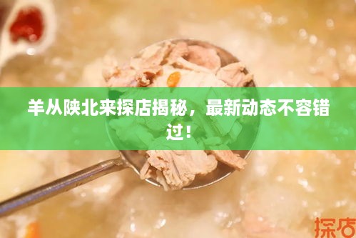 羊從陜北來探店揭秘，最新動(dòng)態(tài)不容錯(cuò)過！