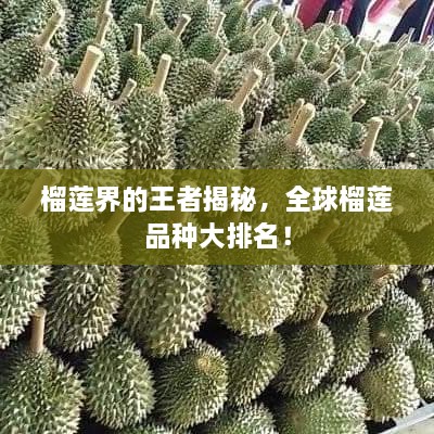 榴蓮界的王者揭秘，全球榴蓮品種大排名！