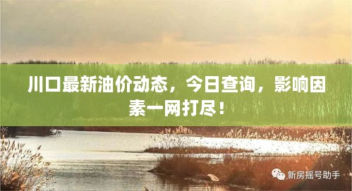 川口最新油價(jià)動(dòng)態(tài)，今日查詢，影響因素一網(wǎng)打盡！