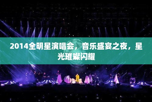 2014全明星演唱會(huì)，音樂盛宴之夜，星光璀璨閃耀