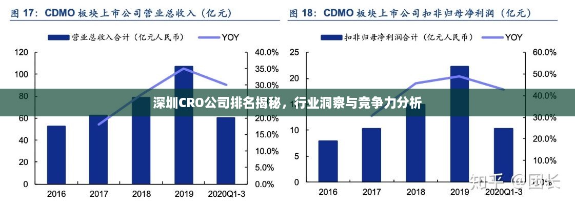 深圳CRO公司排名揭秘，行業(yè)洞察與競爭力分析