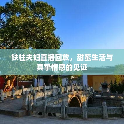 鐵柱夫婦直播回放，甜蜜生活與真摯情感的見(jiàn)證