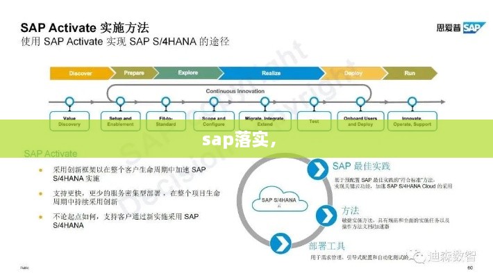 sap落實， 