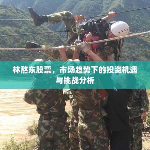林熬東股票，市場(chǎng)趨勢(shì)下的投資機(jī)遇與挑戰(zhàn)分析