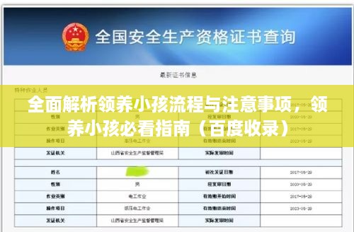 全面解析領(lǐng)養(yǎng)小孩流程與注意事項(xiàng)，領(lǐng)養(yǎng)小孩必看指南（百度收錄）
