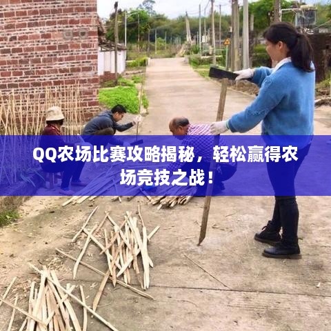 QQ農(nóng)場比賽攻略揭秘，輕松贏得農(nóng)場競技之戰(zhàn)！