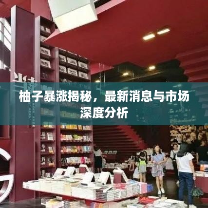 柚子暴漲揭秘，最新消息與市場深度分析
