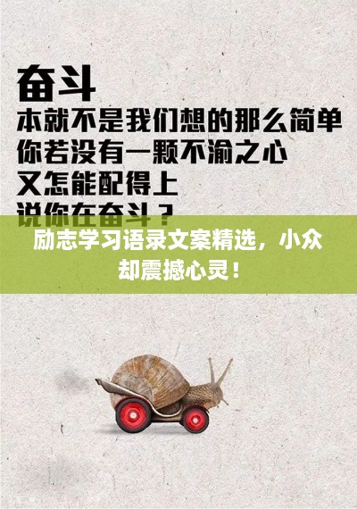 勵(lì)志學(xué)習(xí)語錄文案精選，小眾卻震撼心靈！