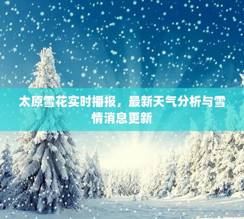 太原雪花實時播報，最新天氣分析與雪情消息更新