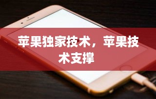 蘋果獨(dú)家技術(shù)，蘋果技術(shù)支撐 