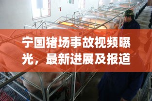 寧國(guó)豬場(chǎng)事故視頻曝光，最新進(jìn)展及報(bào)道概述