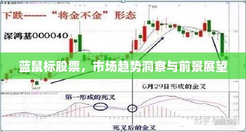 藍(lán)鼠標(biāo)股票，市場(chǎng)趨勢(shì)洞察與前景展望