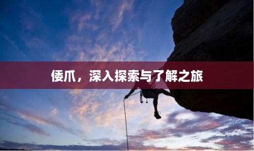 倭爪，深入探索與了解之旅
