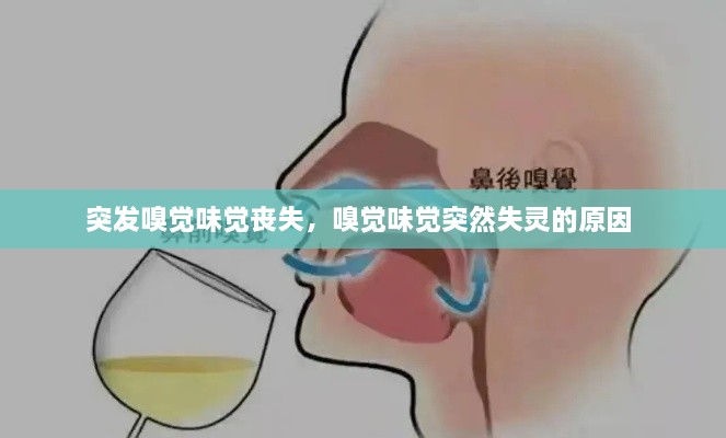 突發(fā)嗅覺味覺喪失，嗅覺味覺突然失靈的原因 
