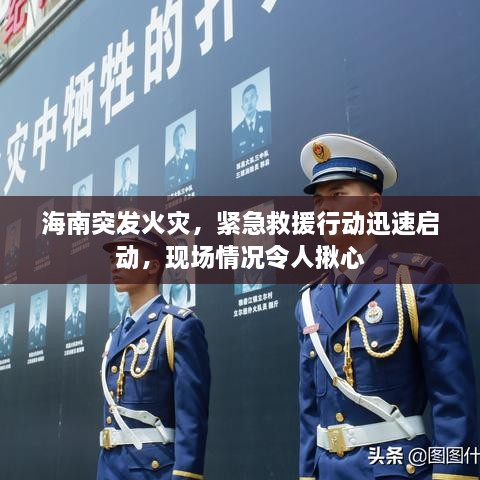 海南突發(fā)火災(zāi)，緊急救援行動迅速啟動，現(xiàn)場情況令人揪心