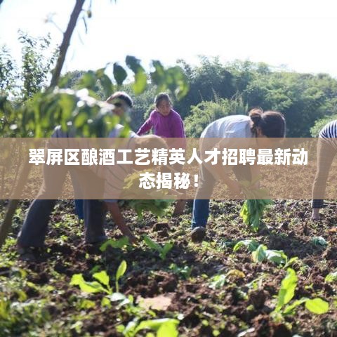 翠屏區(qū)釀酒工藝精英人才招聘最新動態(tài)揭秘！