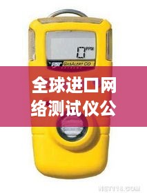 全球進(jìn)口網(wǎng)絡(luò)測(cè)試儀公司排名大揭秘！