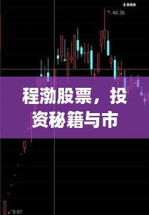 程渤股票，投資秘籍與市場深度洞察