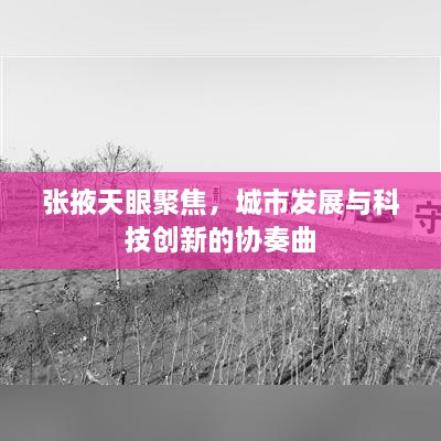 張掖天眼聚焦，城市發(fā)展與科技創(chuàng)新的協(xié)奏曲