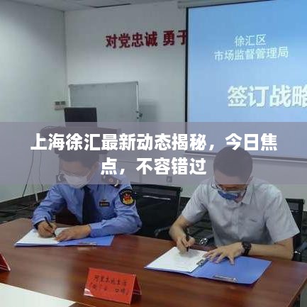 上海徐匯最新動態(tài)揭秘，今日焦點，不容錯過