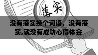 沒有落實(shí)換個(gè)詞語，沒有落實(shí),就沒有成功心得體會(huì) 
